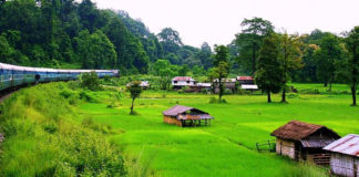 Dooars - West Bengal