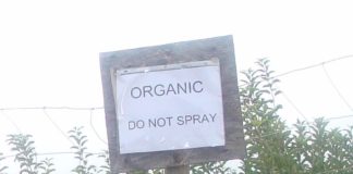 Organic Farming - India