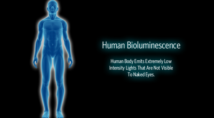 human bioluminicence