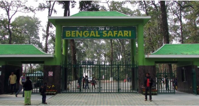 Bengal Safari - North Bengal