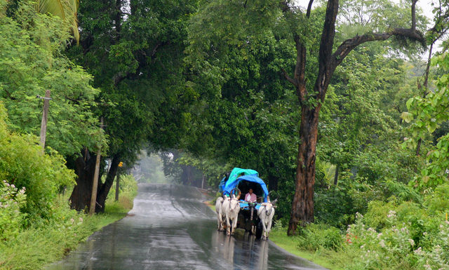 Monsoon - India
