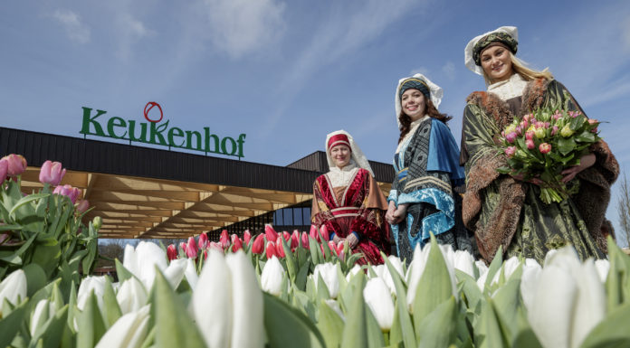 Dutch Design in flowers at the Keukenhof opening