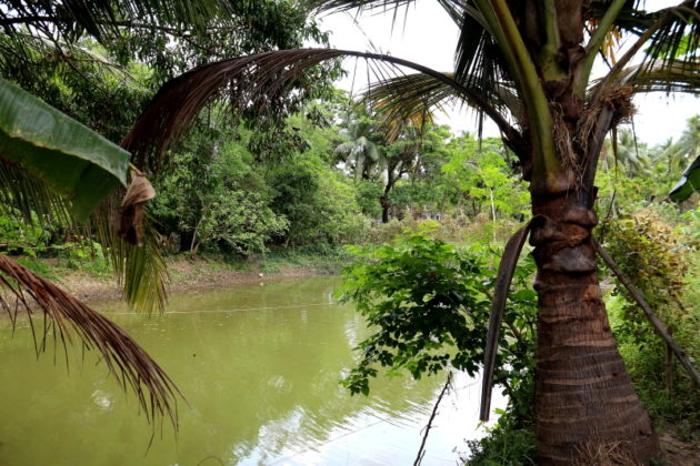 Kalyanbrata Sangha Fishing Pond - Brindabanpur,Uluberia