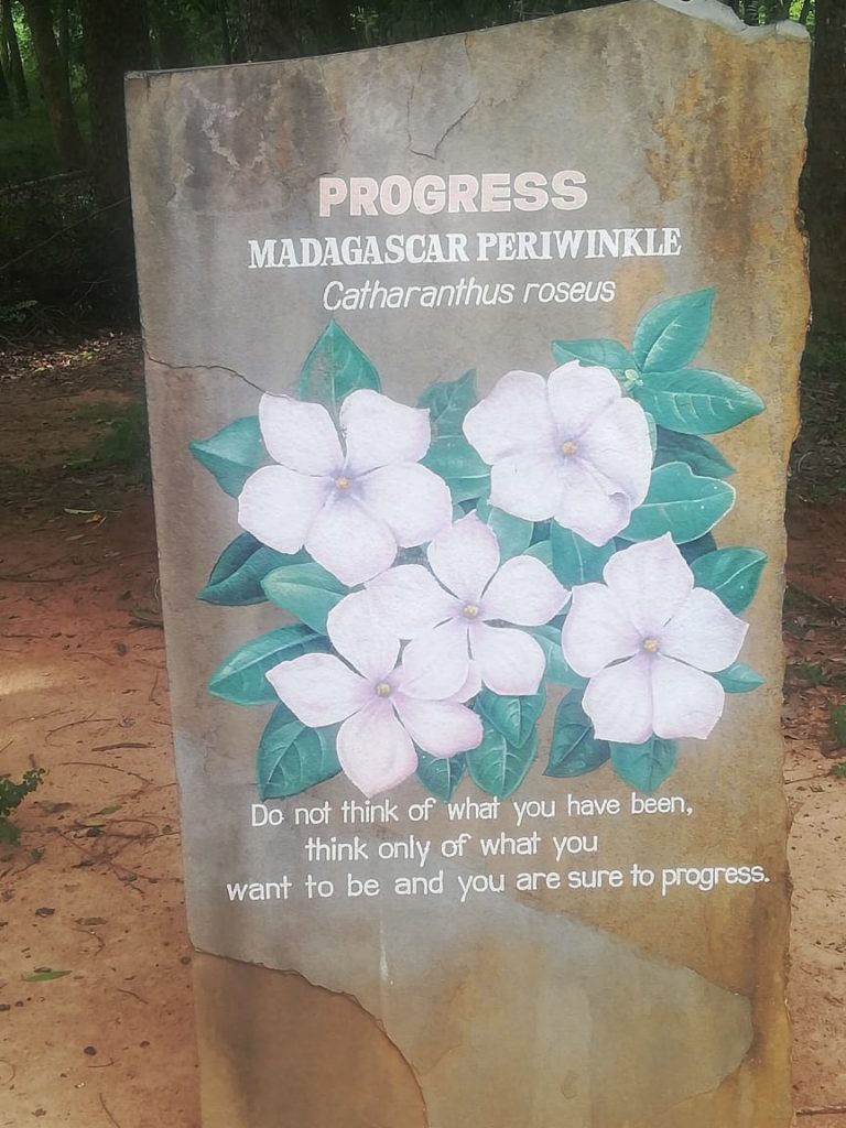 Auroville at Pondicherry