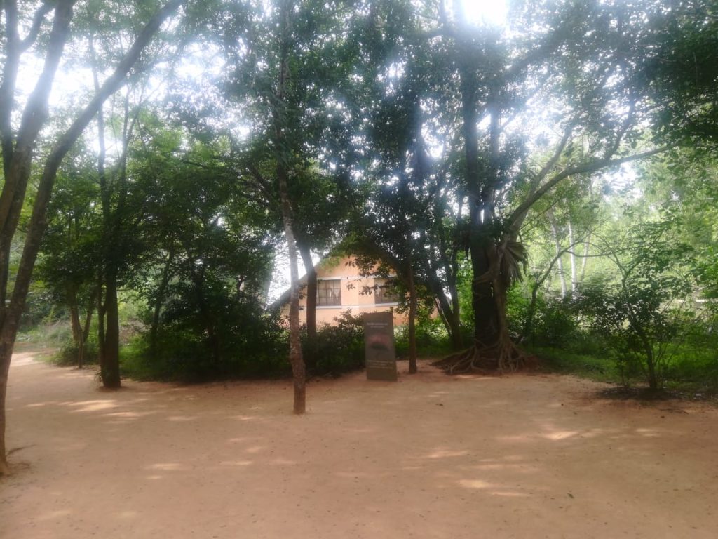 Auroville at Pondicherry