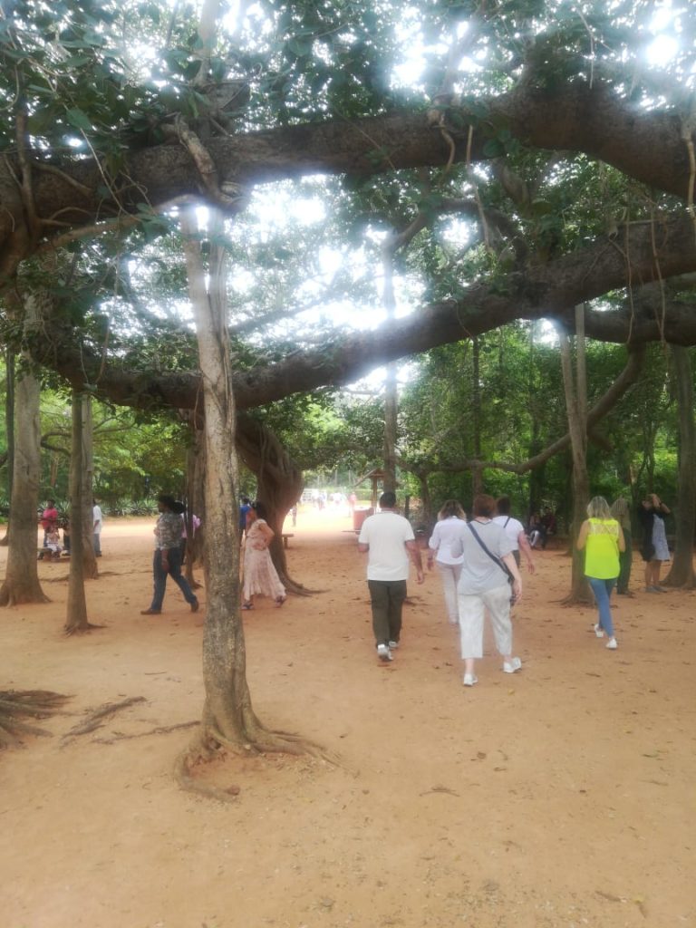 Auroville at Pondicherry