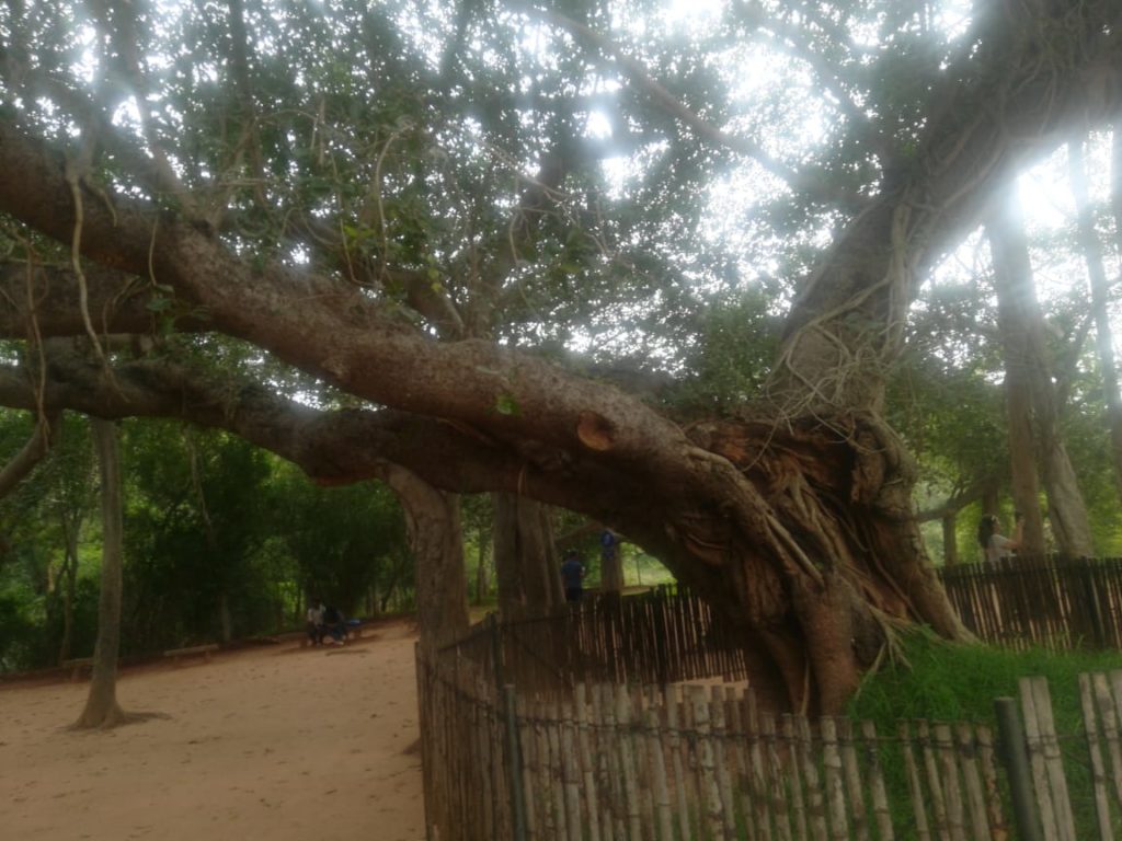 Auroville at Pondicherry