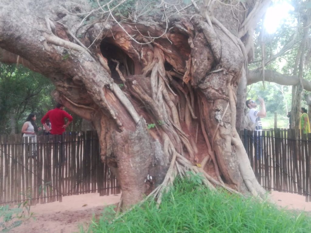Auroville at Pondicherry