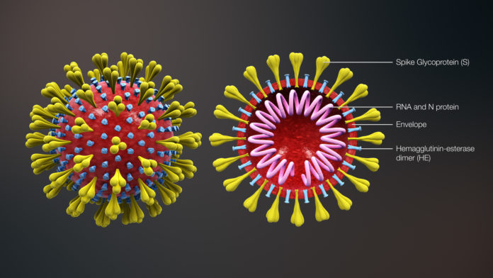 3D_medical_animation_corona_virus Photo by Wikipedia