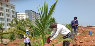 Plantation Drive organized at IIT Bhubaneswar on the occasion of World Environment Day