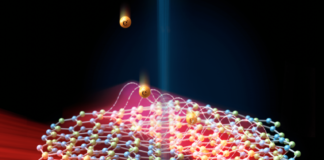 Illustration of a Sound-Light wave in 2D materials and its measurement using free electrons