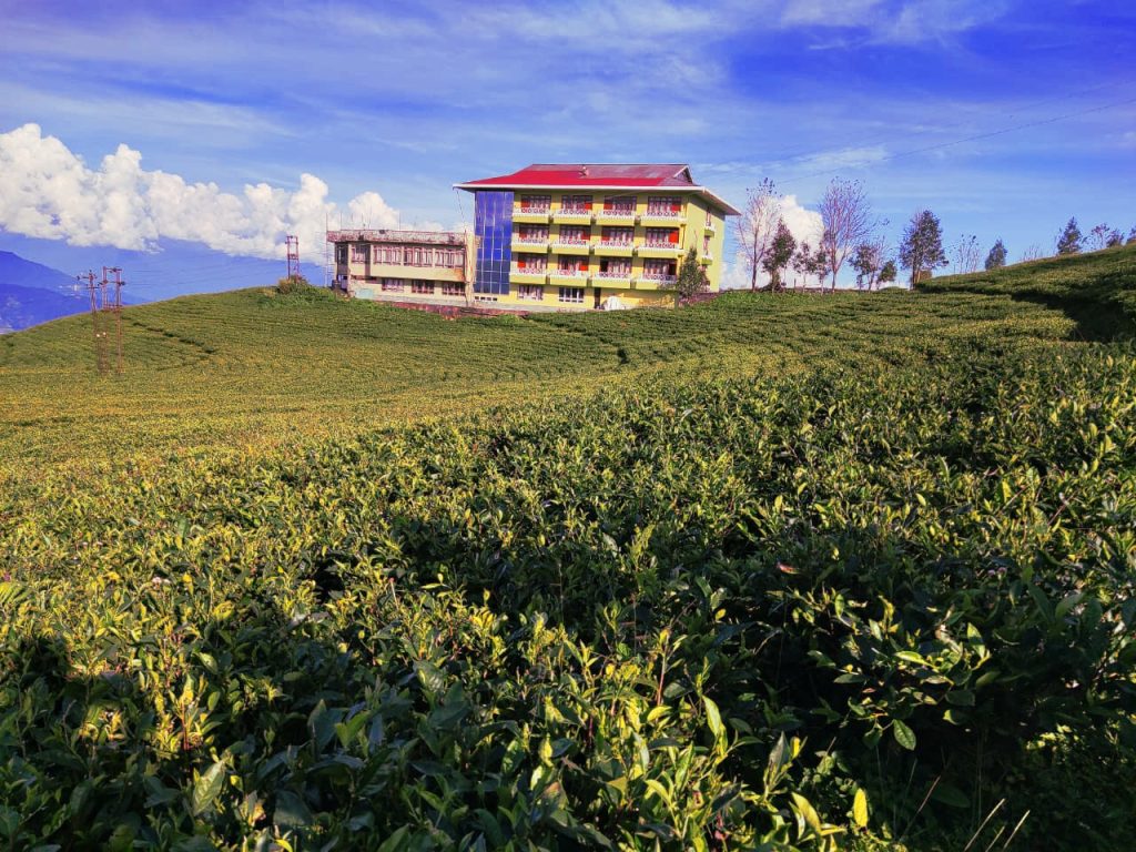 Monastry with Tea Garden in Sikkim