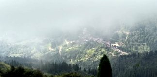 Queen of Hills - Darjeeling