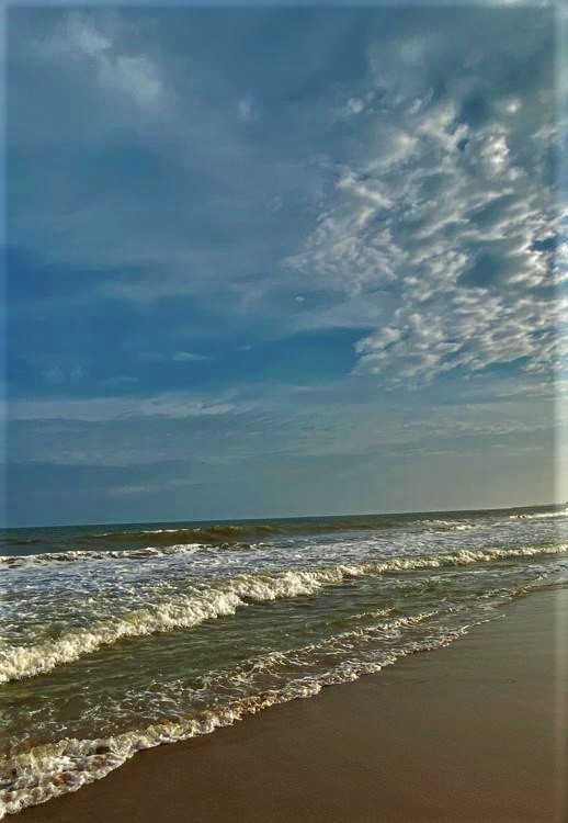 Pondicherry By Nivedita Paul