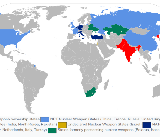 Nuclear Power States