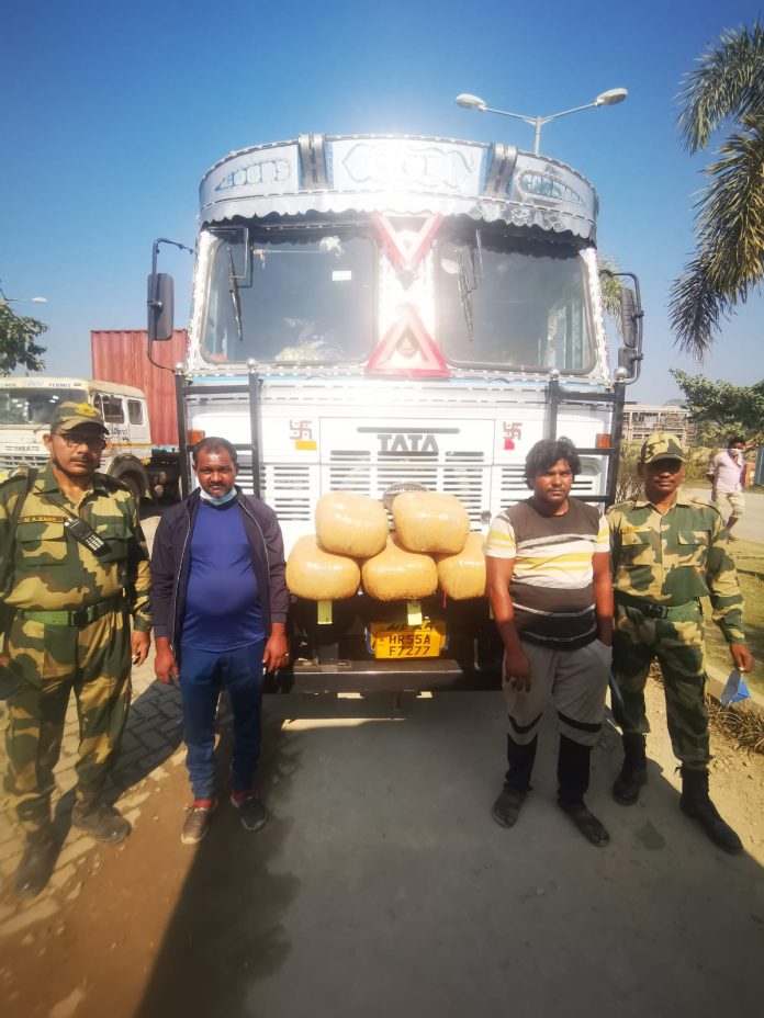 The big achievement of BSF - 02 smugglers apprehended with 50 kg ganja at ICP Petrapole